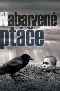 被涂污的鸟封面图