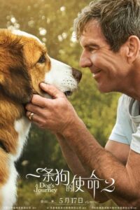 一条狗的使命2封面图