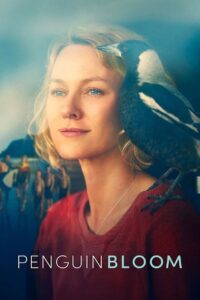 企鹅:布鲁姆封面图