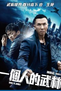 一个人的武林封面图