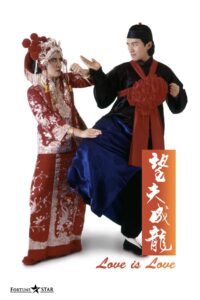 望夫成龙封面图