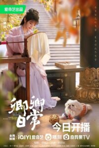 卿卿日常封面图