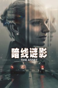 暗线谜影封面图