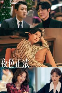 夜色正浓封面图