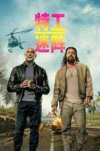 特工迷阵封面图